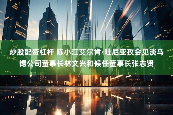 炒股配资杠杆 陈小江艾尔肯·吐尼亚孜会见淡马锡公司董事长林文兴和候任董事长张志贤